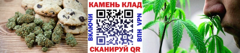 закладки  Дубовка  Canna-Cookies конопля 